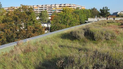 A l’avenir, la végétalisation des villes devra donc être omniprésente, sur le toit ou les balcons des immeubles, dans les moindres interstices… Sur la photo : quartier du Pommier, au Grand‐Saconnex (Genève). ©Valérie Vidril